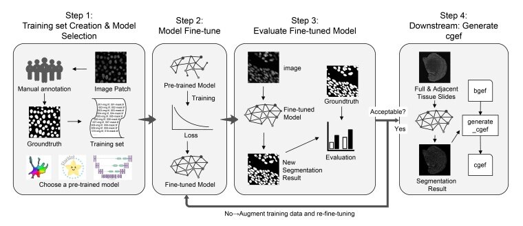 Figure 1. Schematic overview of the CSRefiner workflow-25093001